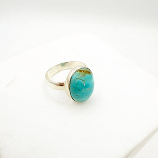 THANKSGIVING TREASURE TROVE