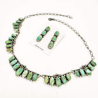 Tatum Skeets Sonoran Gold Insanity Set