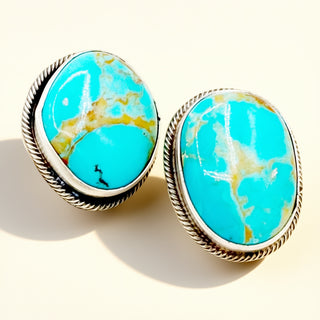 Turquoise stone earrings with silver frames on a white background